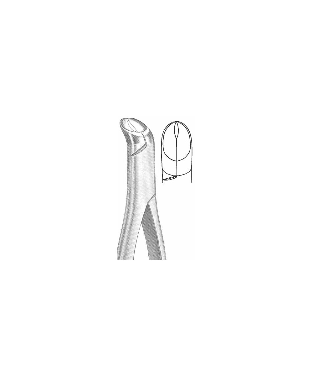 Extracting Forceps American Pattern