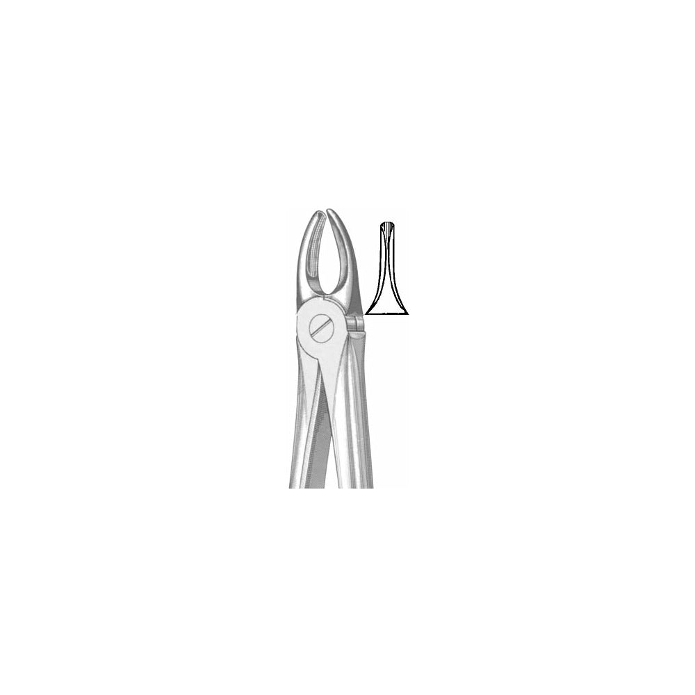 Extracting Forceps English Pattern