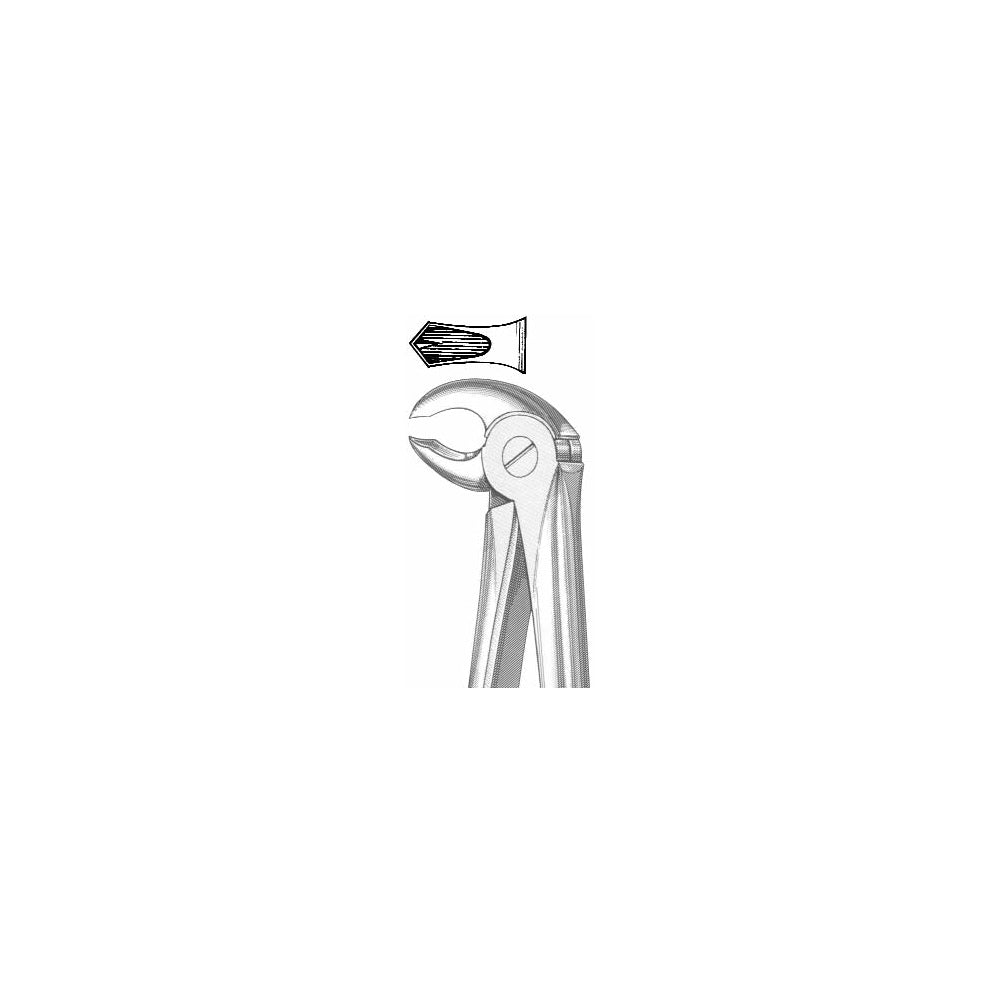 Extracting Forceps English Pattern