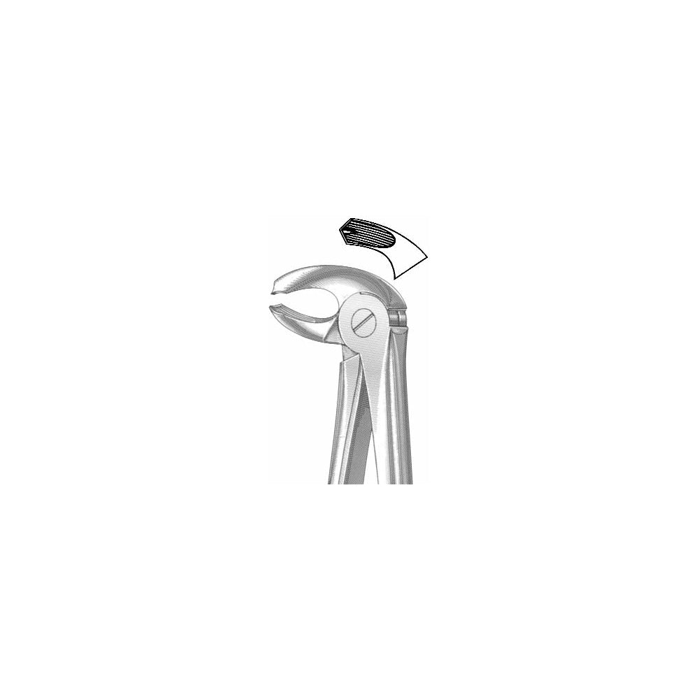 Extracting Forceps English Pattern