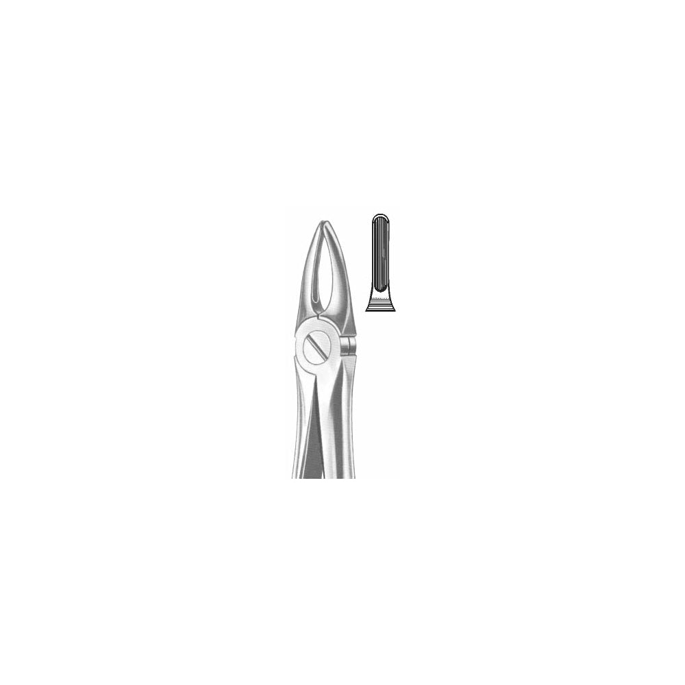 Extracting Forceps English Pattern