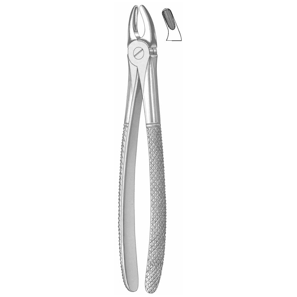 Extracting Forceps English Pattern