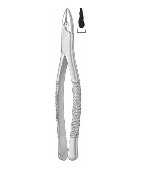 Extracting Forceps English Pattern
