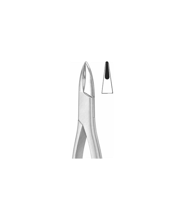 Extracting Forceps American Pattern