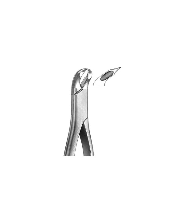 Extracting Forceps American Pattern