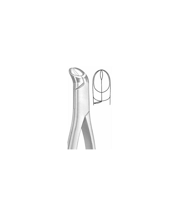 Extracting Forceps American Pattern