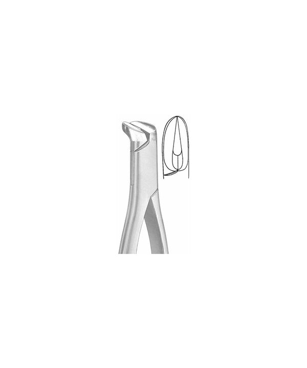 Extracting Forceps American Pattern