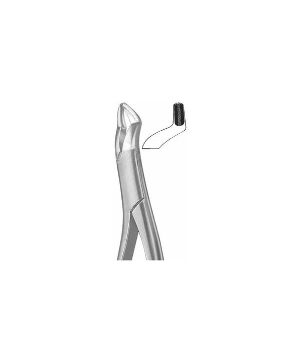 Extracting Forceps American Pattern