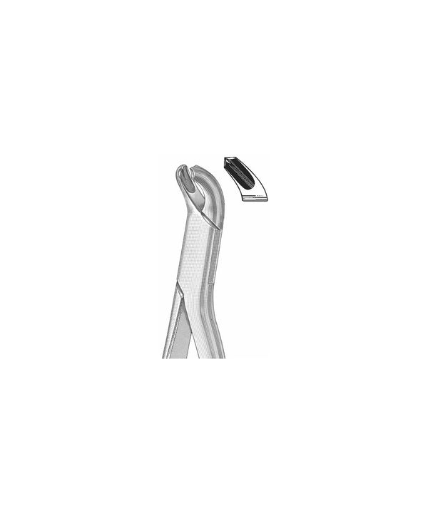 Extracting Forceps American Pattern