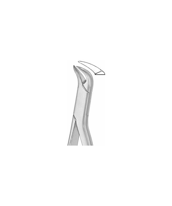 Extracting Forceps American Pattern
