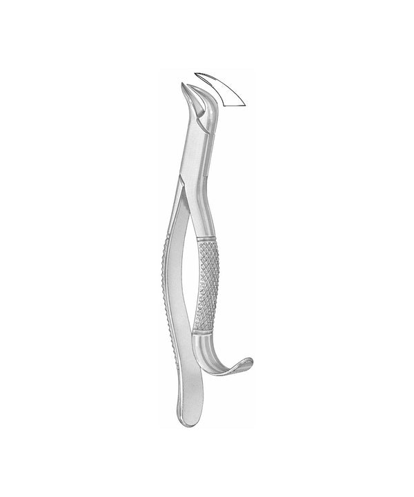 Extracting Forceps American Pattern