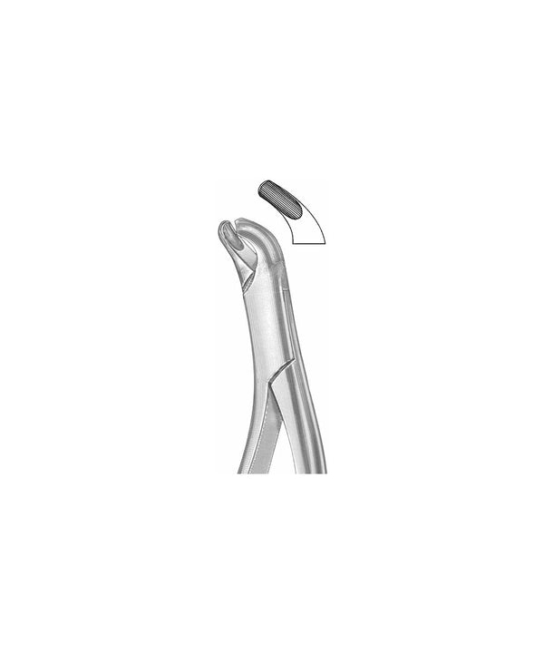 Extracting Forceps American Pattern