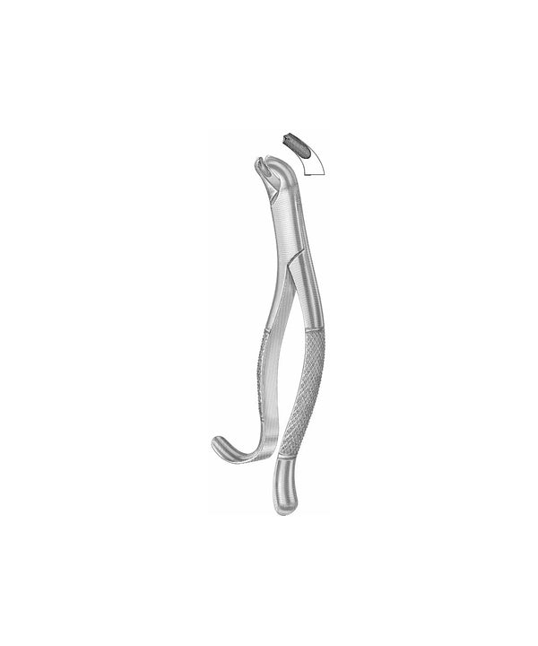 Extracting Forceps American Pattern