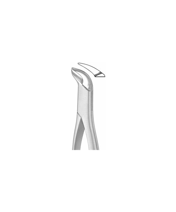 Extracting Forceps American Pattern