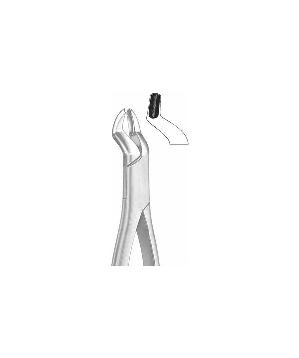 Extracting Forceps American Pattern