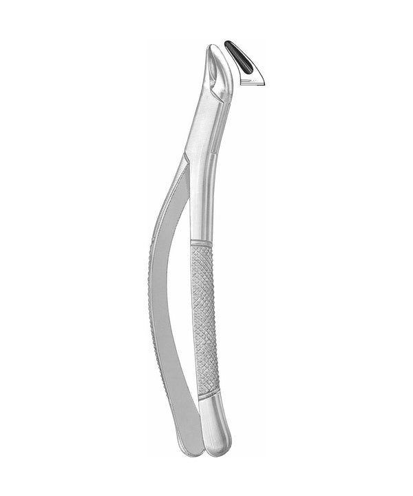 Extracting Forceps American Pattern
