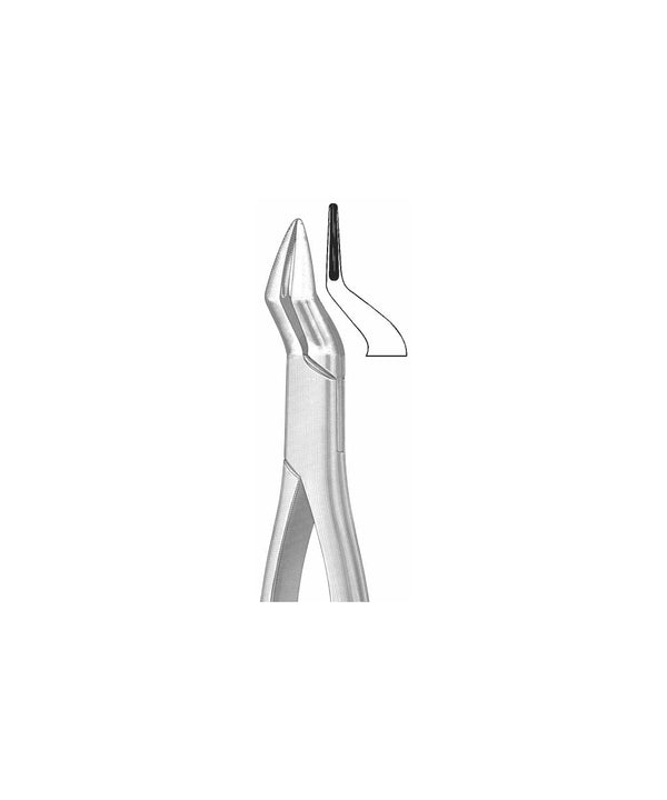 Extracting Forceps American Pattern