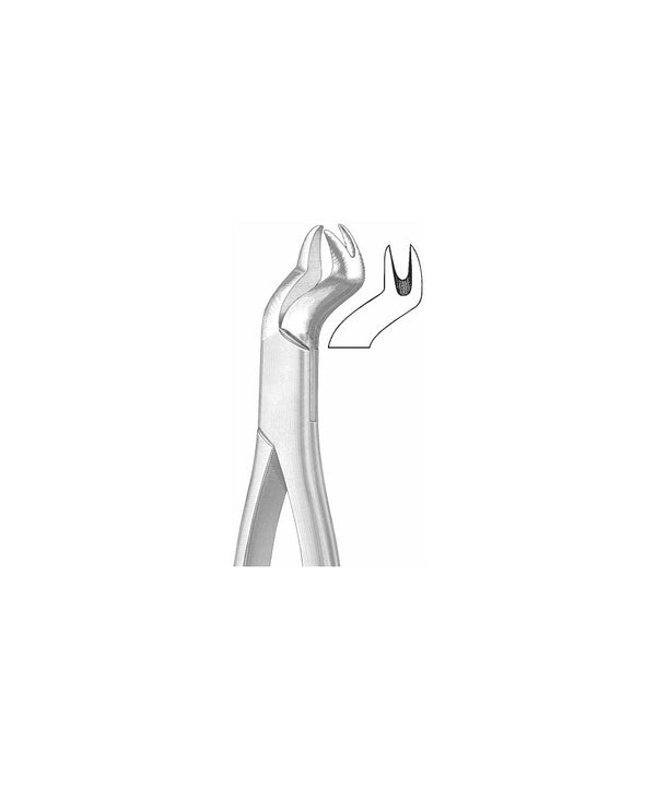 Extracting Forceps American Pattern