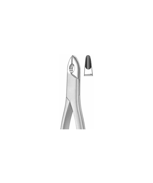 Extracting Forceps American Pattern