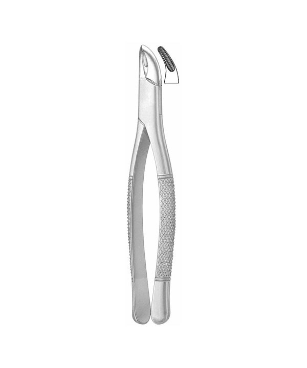 Extracting Forceps American Pattern