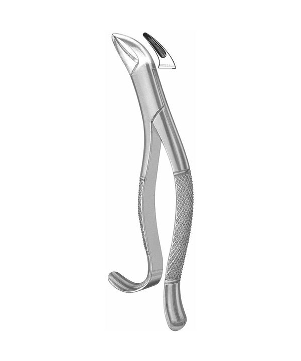 Extracting Forceps American Pattern