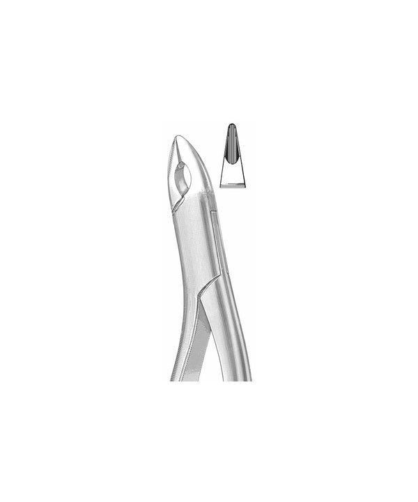 Extracting Forceps American Pattern