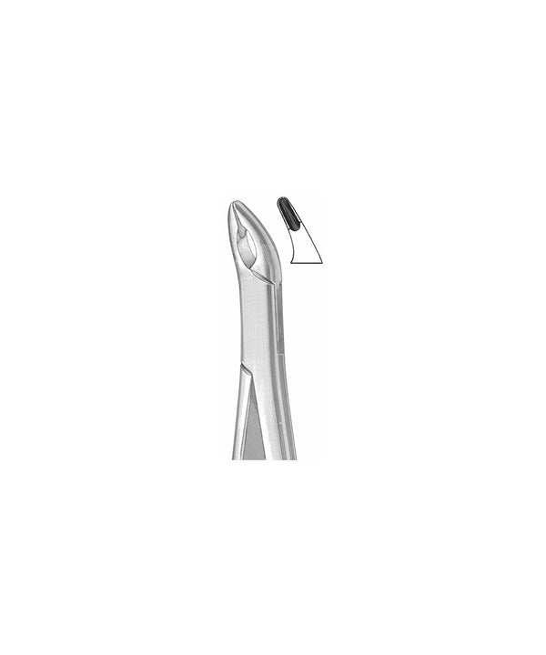Extracting Forceps American Pattern