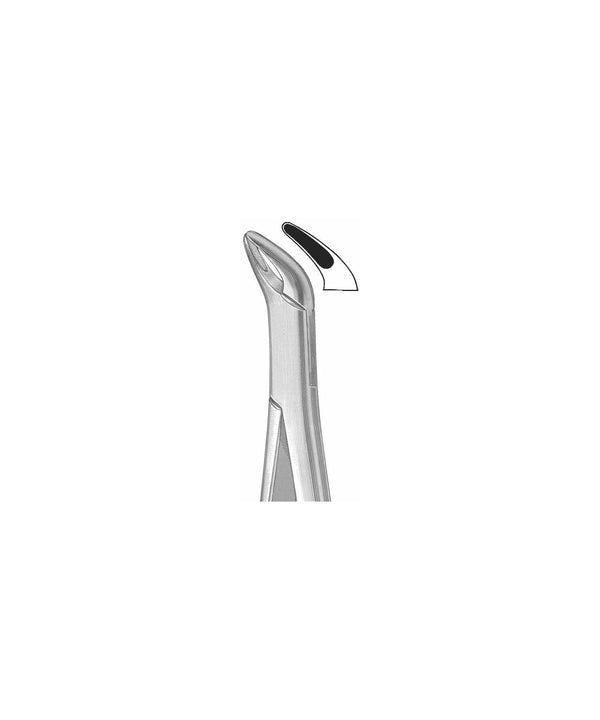 Extracting Forceps American Pattern