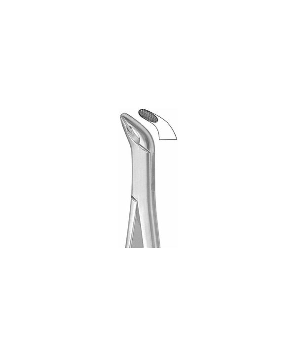 Extracting Forceps American Pattern