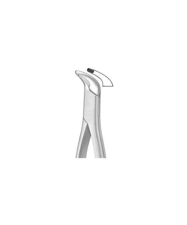 Extracting Forceps American Pattern