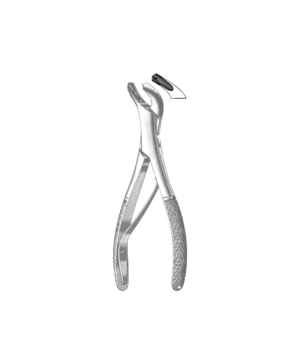 Extracting Forceps American Pattern