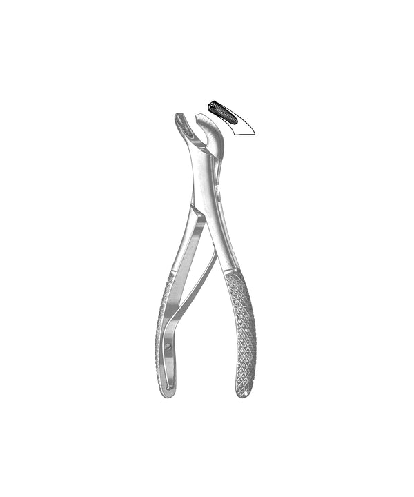 Extracting Forceps American Pattern
