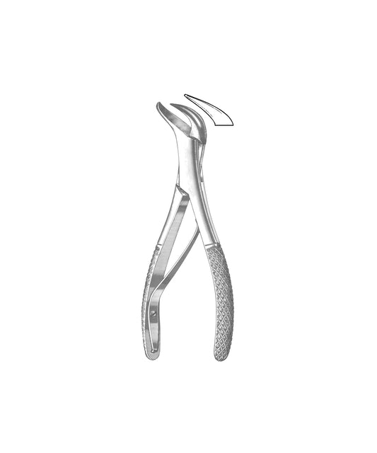 Extracting Forceps American Pattern