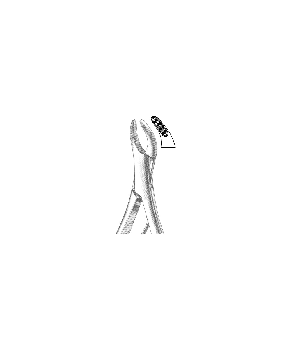 Extracting Forceps American Pattern