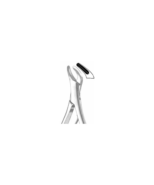 Extracting Forceps American Pattern