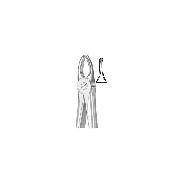 Extracting Forceps English Pattern