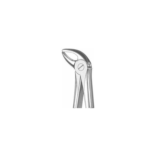 Extracting Forceps English Pattern