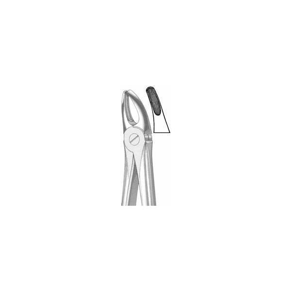 Extracting Forceps English Pattern