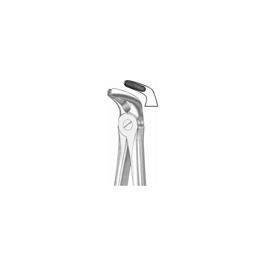 Extracting Forceps English Pattern