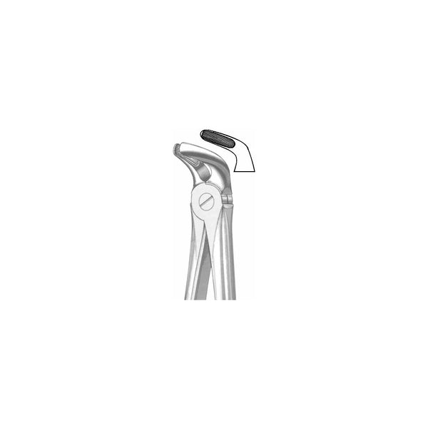 Extracting Forceps English Pattern