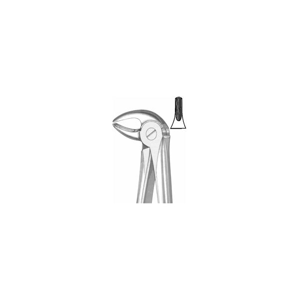 Extracting Forceps English Pattern