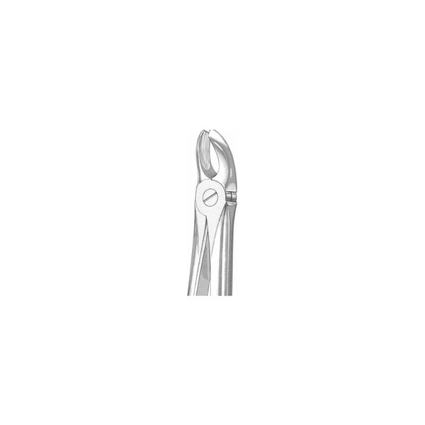 Extracting Forceps English Pattern