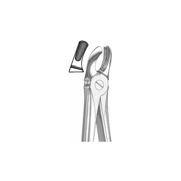 Extracting Forceps English Pattern