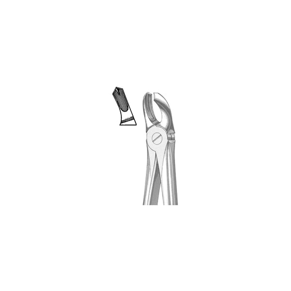 Extracting Forceps English Pattern
