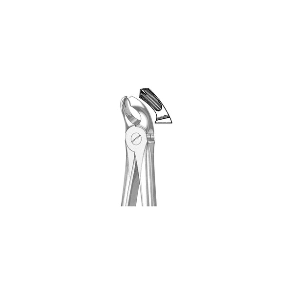 Extracting Forceps English Pattern