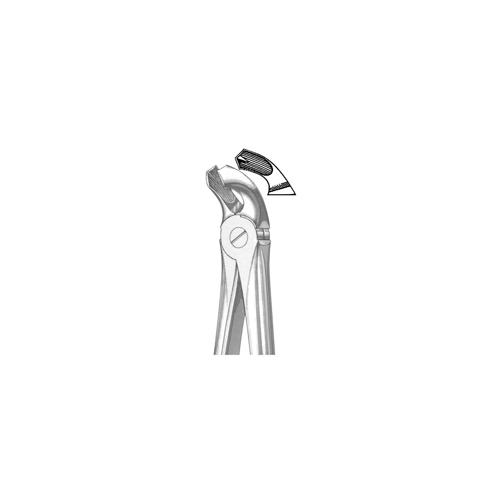 Extracting Forceps English Pattern