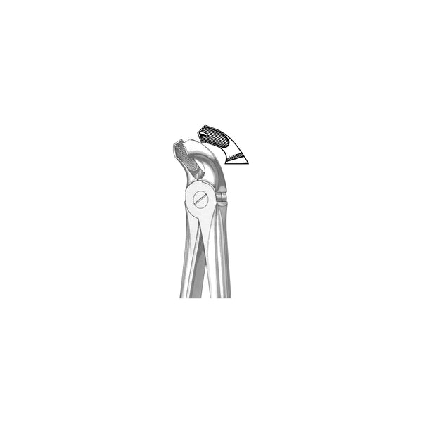 Extracting Forceps English Pattern