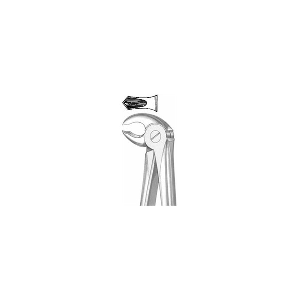 Extracting Forceps English Pattern