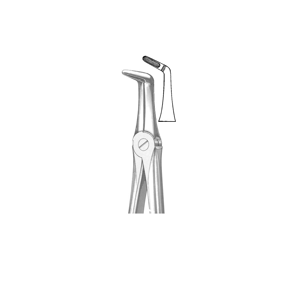 Extracting Forceps English Pattern
