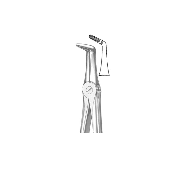 Extracting Forceps English Pattern